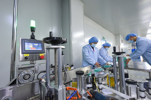 衡水新聞網(wǎng) 石家莊技術服務與技術開發(fā)新動向探析